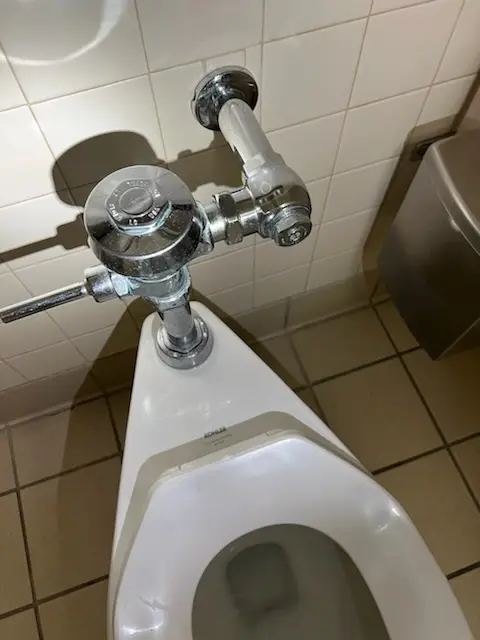 Fixture installation and repair for Garbage Disposal in Roundtree